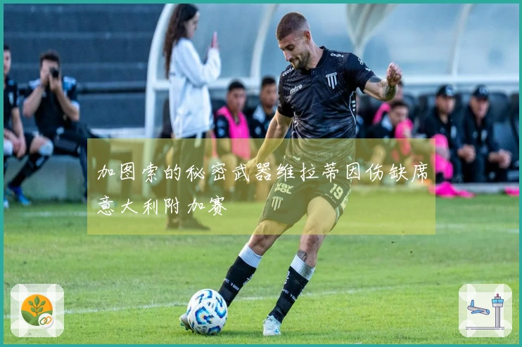 加图索的秘密武器维拉蒂因伤缺席意大利附加赛