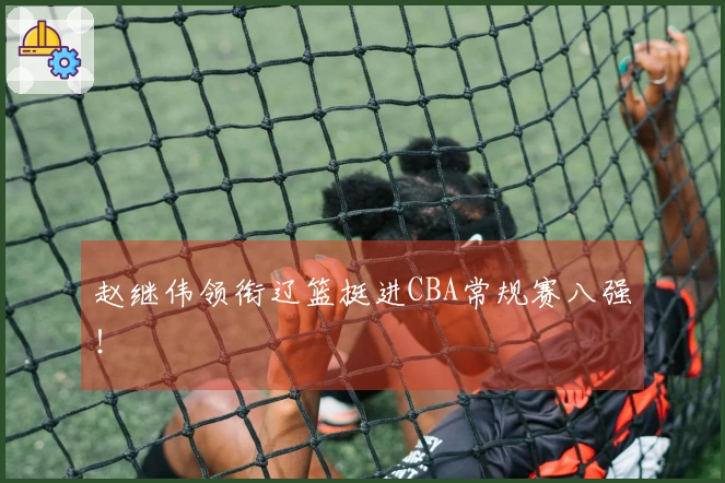 赵继伟领衔辽篮挺进CBA常规赛八强!